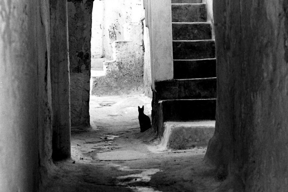  Naxos 